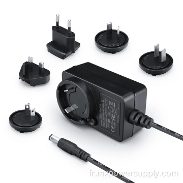 Adaptateur de puissance de fiche 12V2A interchangeable avec ETL FCC